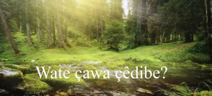 Xweza û Wate – I